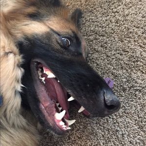 Meet your Posher, Blanca